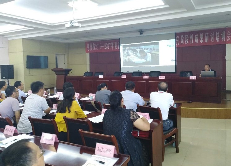 蒙城八中魏三香老师在作报告 蒙城八中魏三香老师在作报告